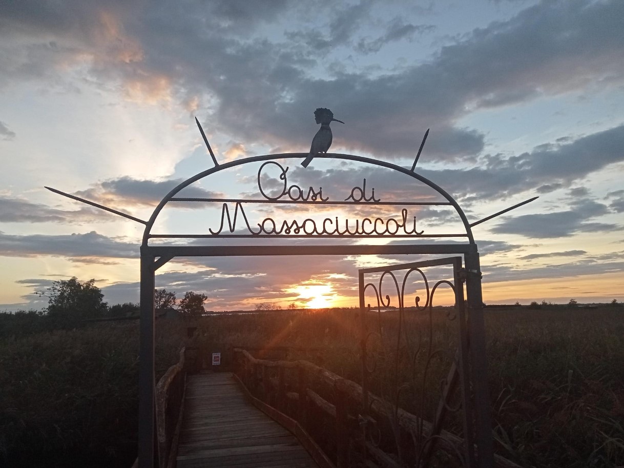 Oasi Lipu Massaciucoli