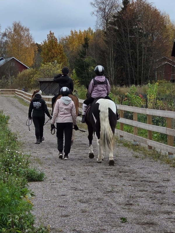 Fallkulla Domestic Animal Farm and Youth Center